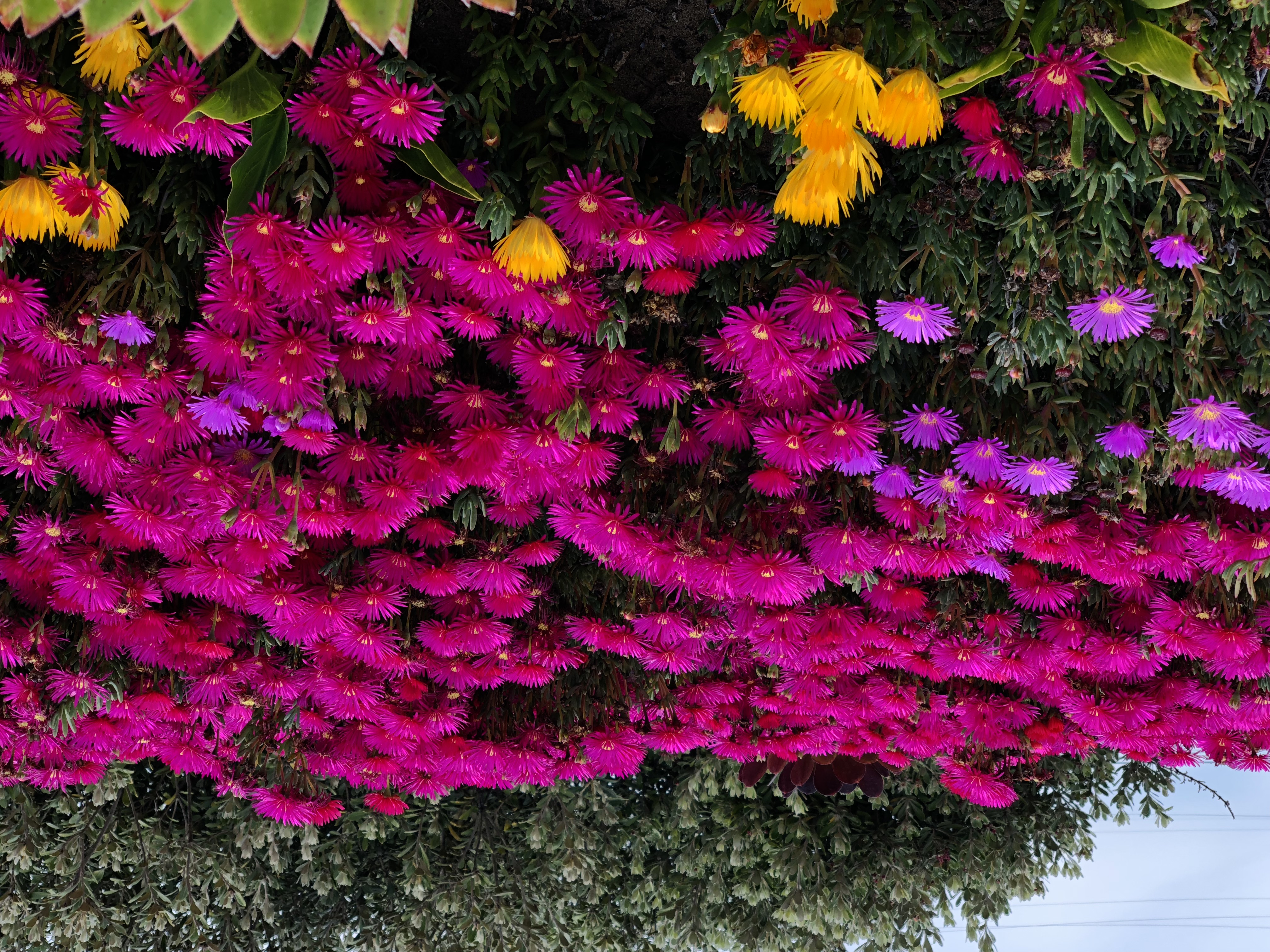 article_image